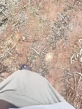 ActiveDick Telugu online show from 03/20/26, 06:14