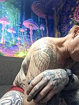 drednasty online show from 04/11/26, 02:19