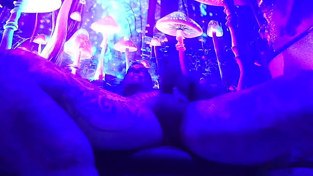 drednasty online show from 03/26/26, 04:00