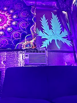 drednasty online show from 04/05/26, 04:08