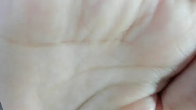 Angell cherryht online show from 03/28/26, 08:43