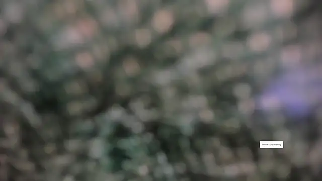 IVONE ASHAR online show from 03/14/26, 03:18