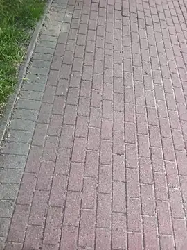 Snapshot of MarekPublicShow chatting on 05/31/26, 04:46 MarekPublicShow online show from 05/31/26, 04:46