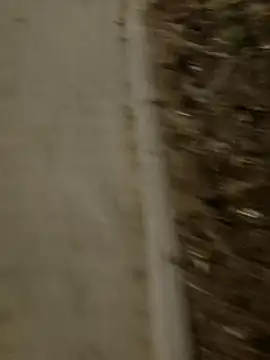 Snapshot of MarekPublicShow chatting on 03/03/26, 09:44 MarekPublicShow online show from 03/03/26, 09:44