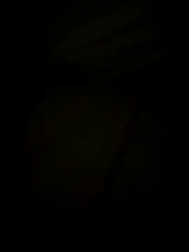 tubarao19 online show from 04/06/26, 12:39