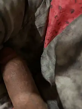 anaconda20c online show from 03/11/26, 02:27