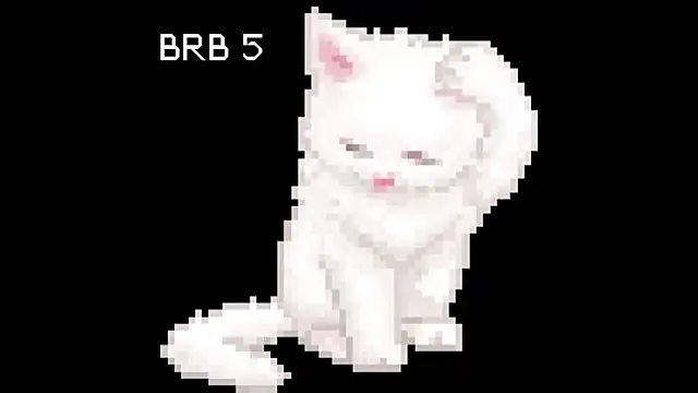 Snapshot of BlinkingDross chatting on 05/11/26, 02:45 BlinkingDross online show from 05/11/26, 02:45