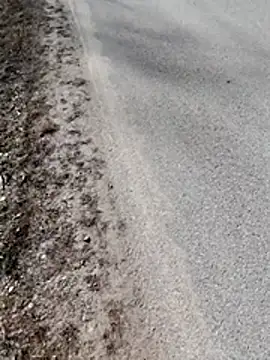 Polishboyek online show from 03/10/26, 12:53