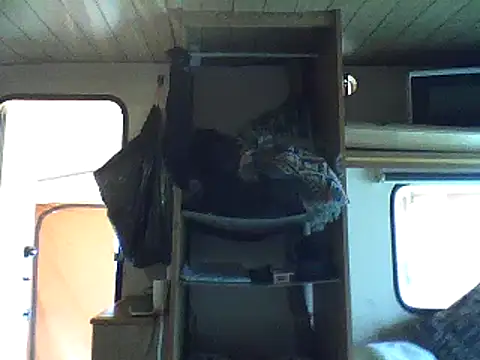 Alcoyanos online show from 03/21/26, 04:44