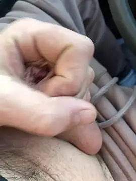 Romashka 1 online show from 03/05/26, 08:11