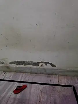 Itz ishu online show from 04/04/26, 11:39