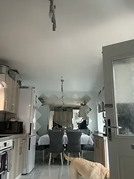 BunnyBallyX online show from 04/15/26, 05:57