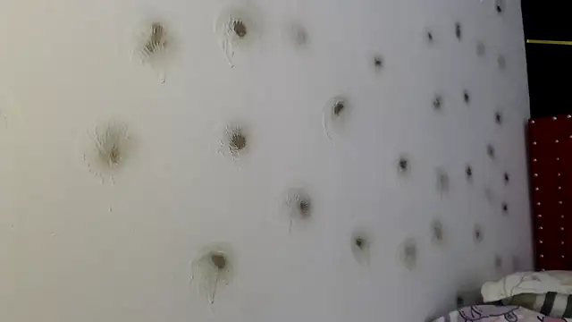 danielawidx online show from 04/15/26, 01:48