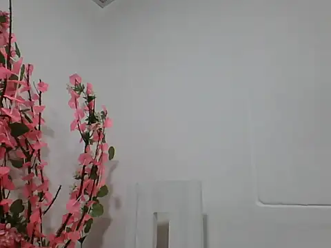 Briahana Drink online show from 04/05/26, 02:07