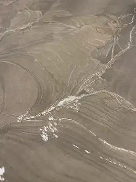 sharks90 online show from 04/10/26, 04:08