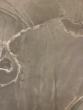 sharks90 online show from 04/09/26, 03:08