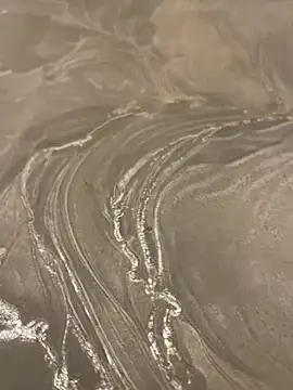 sharks90 online show from 04/13/26, 03:54