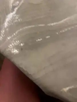 sharks90 online show from 04/15/26, 02:50