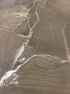 sharks90 online show from 03/19/26, 05:07