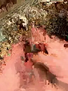 sharks90 online show from 04/05/26, 03:24