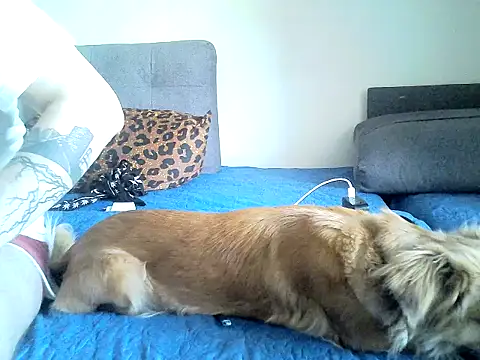 SirNefastus online show from 04/13/26, 05:11