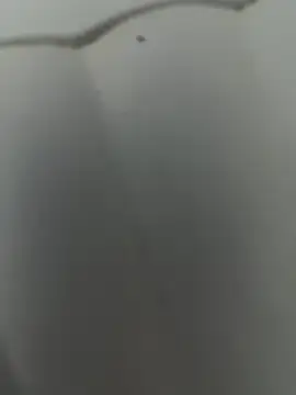 Cr1sXPorn online show from 03/29/26, 10:11