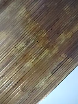 ssbunny65 online show from 03/07/26, 05:03