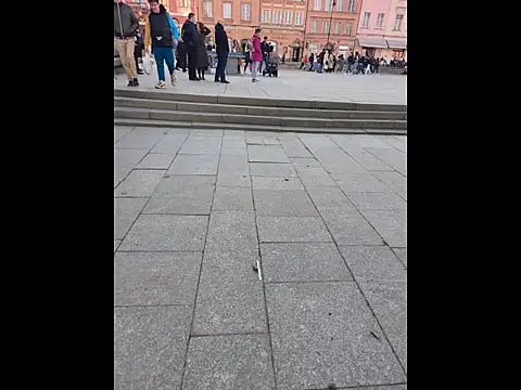 PublicMarekFlashDick online show from 03/14/26, 02:45