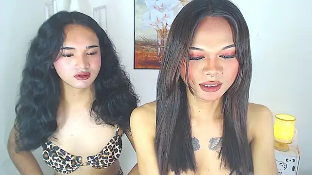 MaterialDuoTransxxx online show from 03/09/26, 05:22