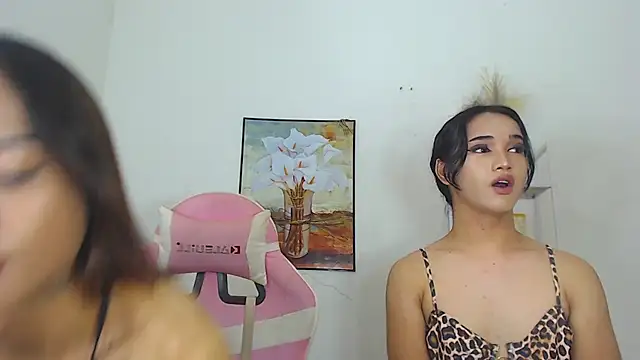 MaterialDuoTransxxx online show from 03/26/26, 10:02