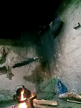 Bling-pusy online show from 03/31/26, 09:39