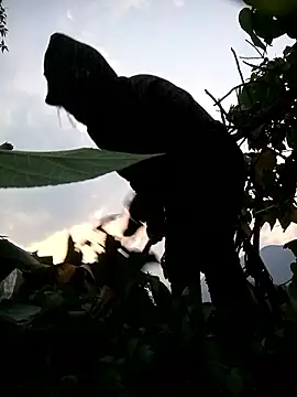 Bling-pusy online show from 04/08/26, 11:33