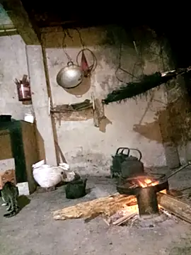 Bling-pusy online show from 04/02/26, 09:54