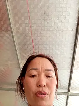 Yellow-pink online show from 04/11/26, 07:45