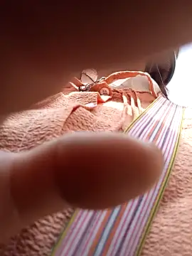 Yellow-pink online show from 05/15/26, 02:09