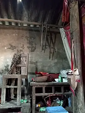 Yellow-pink online show from 03/24/26, 04:34