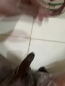 Chotiluli4 online show from 03/09/26, 07:01