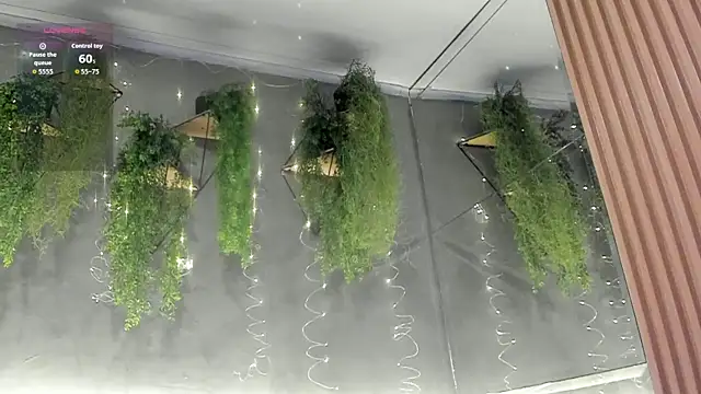 Amira Latif online show from 04/18/26, 07:07