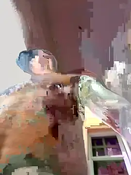 Snapshot of Johnbtte chatting on 03/27/26, 11:00 Johnbtte online show from 03/27/26, 11:00