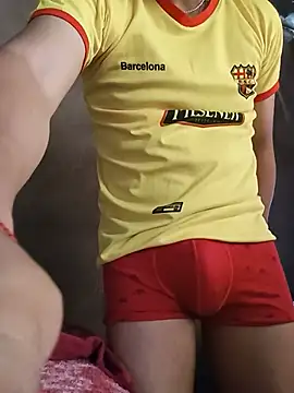 SebastianLOL21 online show from 07/04/26, 04:33