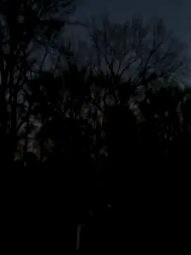 Snapshot of Fastrunner10 chatting on 03/26/26, 12:53 Fastrunner10 online show from 03/26/26, 12:53