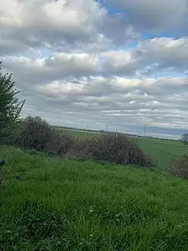 SoftAmjad online show from 04/04/26, 04:46