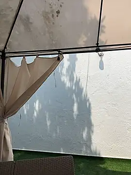 Bella-Ferrer online show from 03/17/26, 06:22