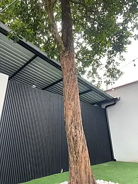 Bella-Ferrer online show from 03/14/26, 06:25