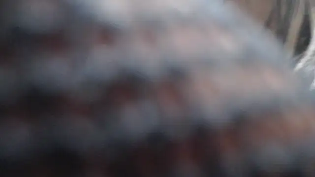 Britanylovee online show from 03/27/26, 02:51