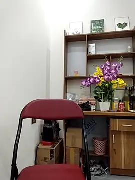 Mai phuong online show from 04/13/26, 12:47