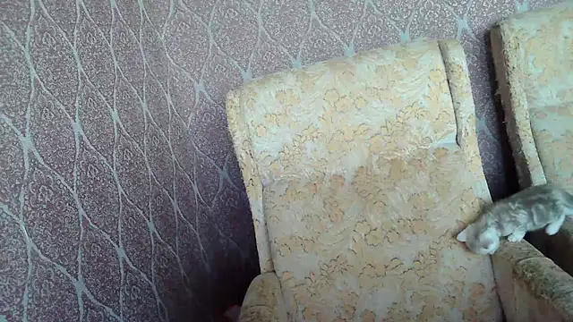 DollyGersonn online show from 04/15/26, 04:40