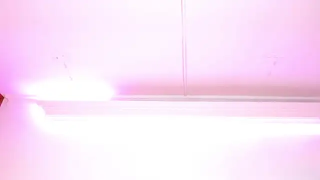 Rebeldana online show from 04/11/26, 05:38