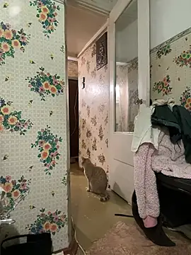 Nenssy555 online show from 04/15/26, 07:58