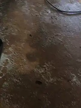 ranga-1984 online show from 03/19/26, 06:46